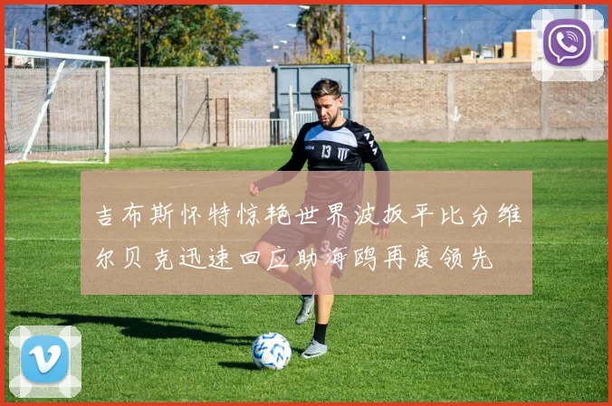 吉布斯怀特惊艳世界波扳平比分维尔贝克迅速回应助海鸥再度领先