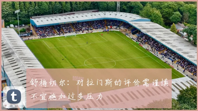 舒梅切尔：对拉门斯的评价需谨慎不宜施加过多压力